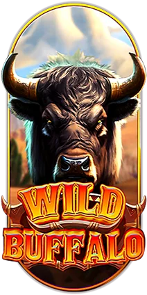 WILD-BUFFALO-1